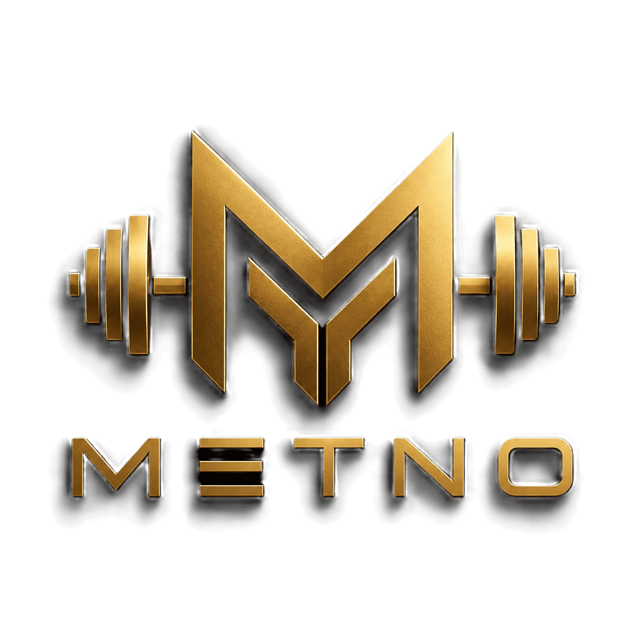 METNO Logo